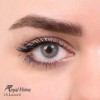 لنز شماره 19 مدل Lazord رویال ویژن
